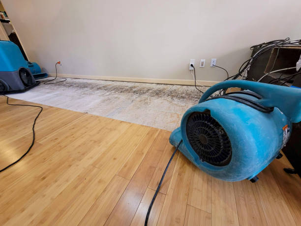 Professional Structural Drying technician working in Kamas, UT